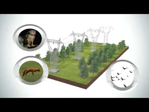 Tipos comunes de aislantes utilizados en las líneas de transmisión eléctrica