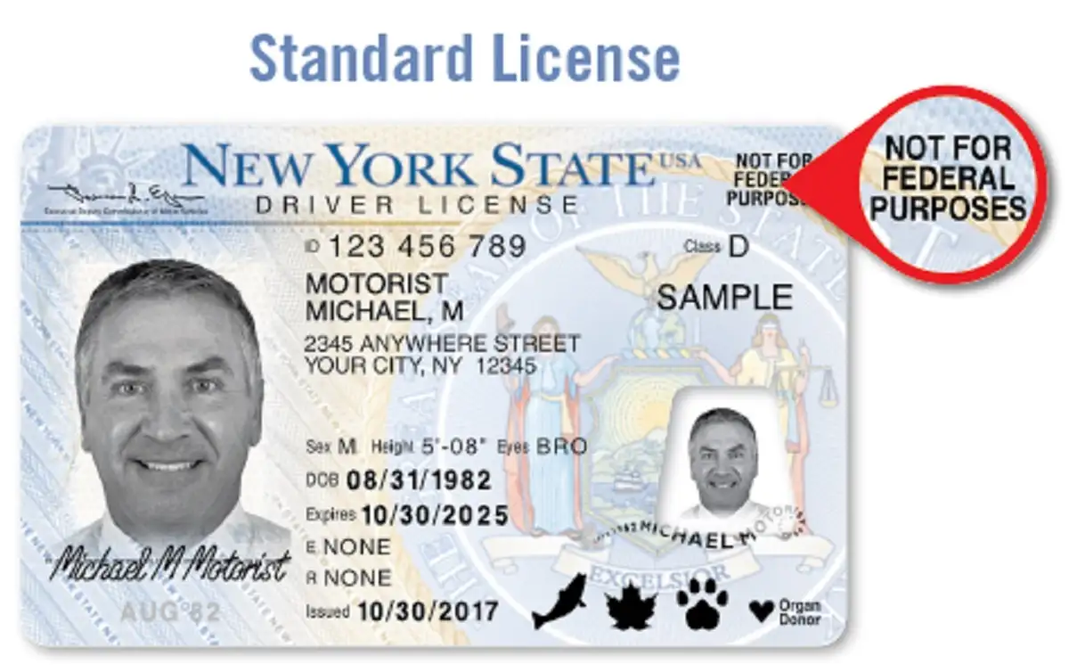 Cómo renovar mi licencia de conducir en New York City - New York
