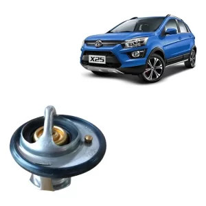 Termostato Baic X25 1.5
