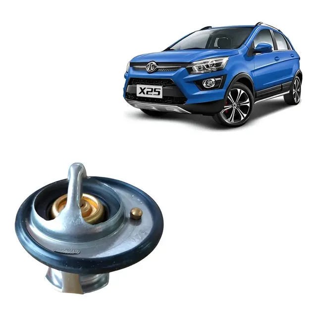 Termostato Baic X25 1.5 1 Termostato Baic X25 1.5