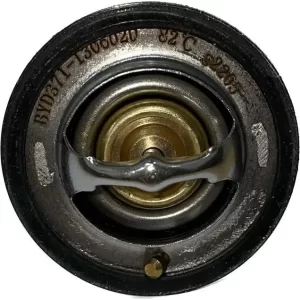 Termostato Byd F0