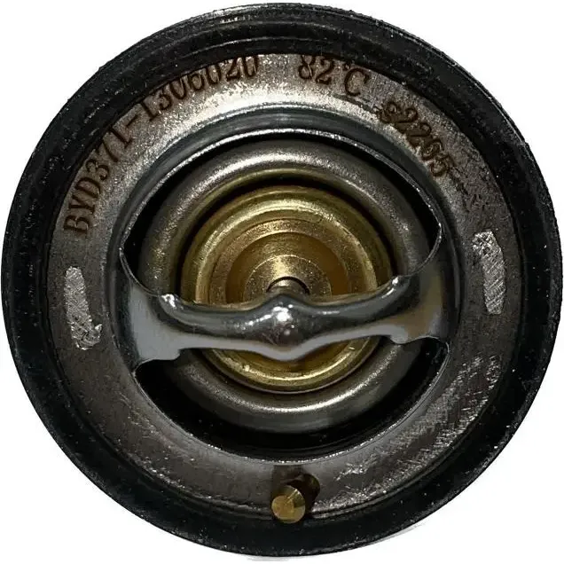 Termostato Byd F0 1 Termostato Byd F0