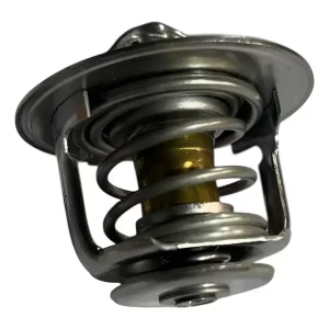 Termostato Maxus C35