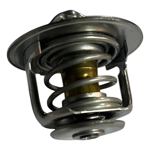 Termostato Maxus C35 1 Termostato Maxus C35