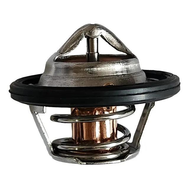 Termostato Para Dfsk Cargo Truck 1.3 2018-2022 1 Termostato Para Dfsk Cargo Truck 1.3 2018-2022