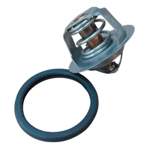 Termostato Inferior Latitude 2.0 M4r 2011-2015