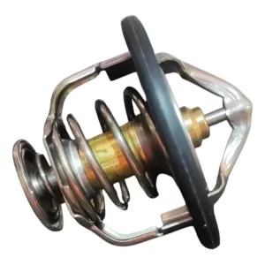 Termostato Jmc Vigus Work 2.5 Turbo Euro 6 2020 Al 2024