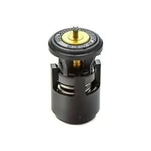Termostato Original Bmw 650 600 1200 1300 1600 700 800