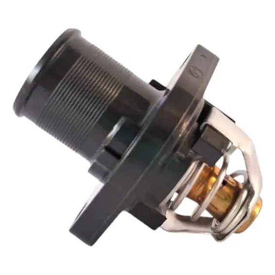Termostato Completo Dfm S30 / H30 1 Termostato Completo Dfm S30 / H30