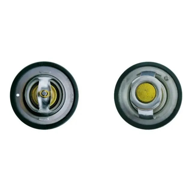Termostato Mg3 Mg350 1.5 (88°) 1 Termostato Mg3 Mg350 1.5 (88°)