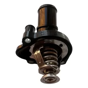 Termostato Ford Focus 2.0 Original