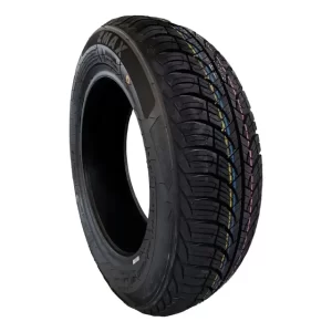 Neumático 195/65 R15 Zmax X-Spider A/S XL 95V Rating V para Auto