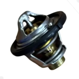 Termostato Chevrolet Acdelco 19281543