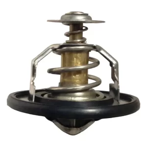 Termostato Maxus  V80 2.8