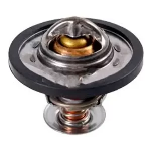Termostato Para Peugeot Boxer Citroen Jumper 2.2 2008 2017
