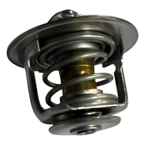 Termostato Maxus C35