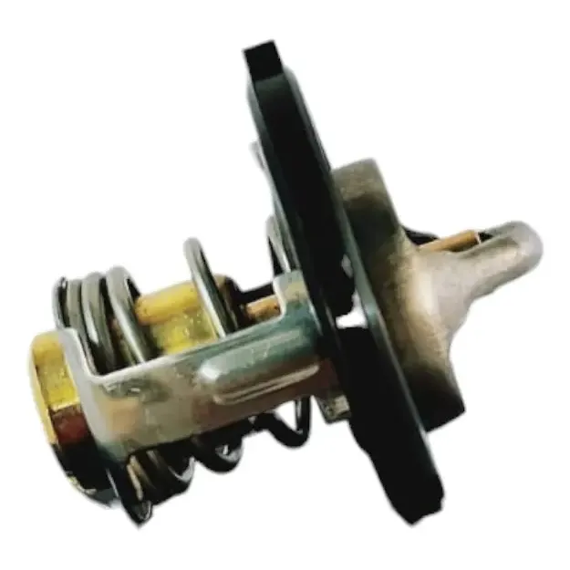 Termostato Baic X25/ X35 1 Termostato Baic X25/ X35