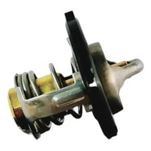 Termostato Haima 2
