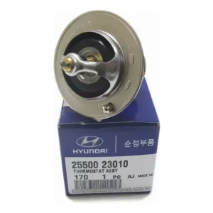 Termostato Hyundai Santa Fe 2009-2021 Original