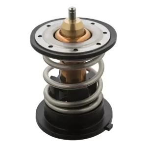 Termostato Bmw 116d/118d/120d/316d/318d/320d F20-f21-f30-f31