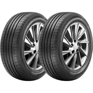 Kit de 2 neumáticos Aptany RP203 P 205/60R16 92 H