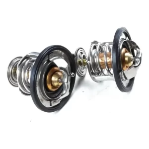 Termostato Jac S1/s5 Original