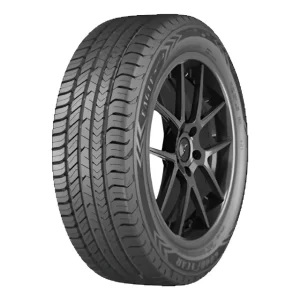 Neumático 205/55 R16 Goodyear Eagle Sport 2 91v